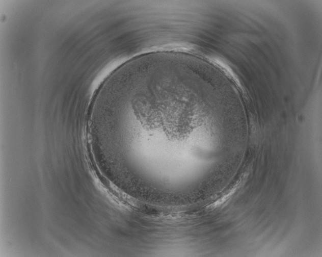 X0000068900952200605122056