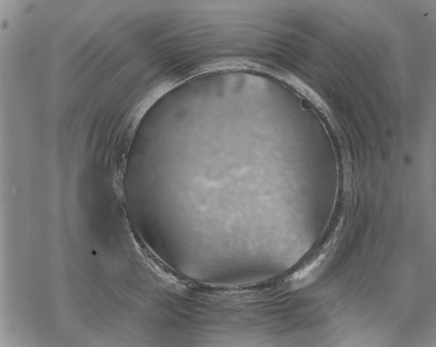 X0000068900953200605122056