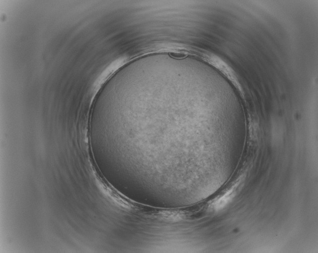 X0000068900954200605122056