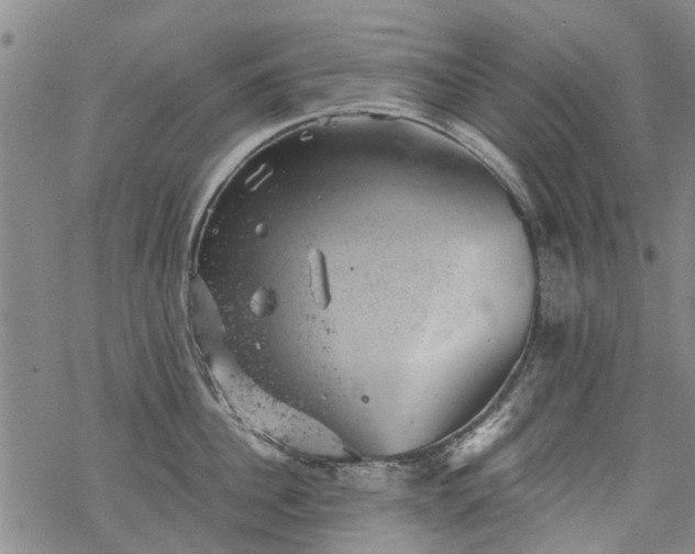 X0000068900956200605122056