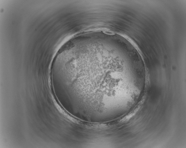 X0000068900957200605122056