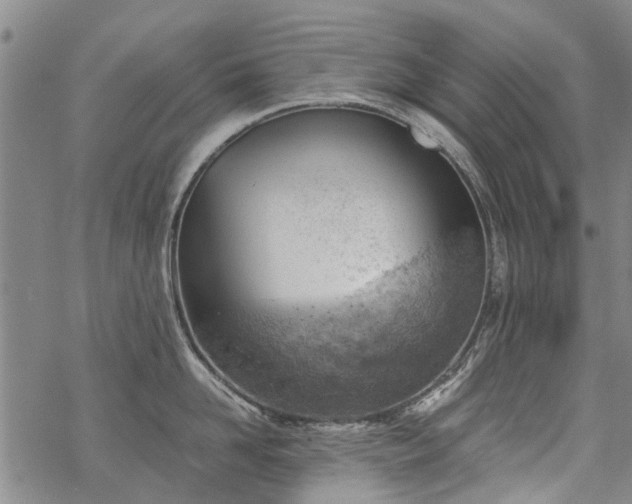 X0000068900958200605122057