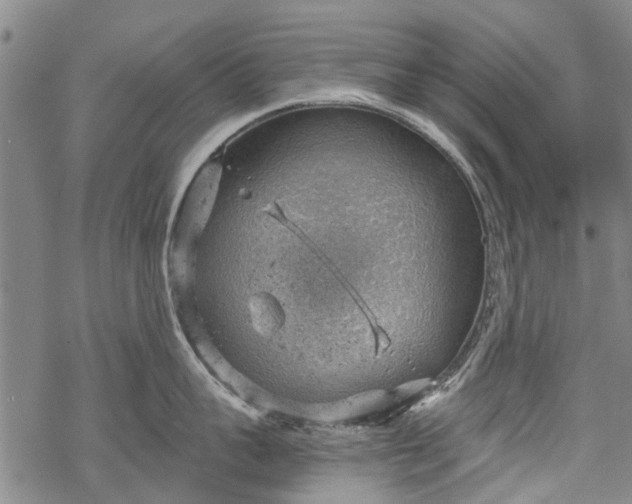 X0000068900959200605122057