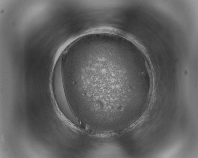 X0000068900960200605122057