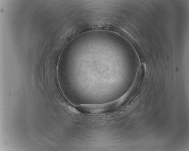 X0000068900961200605122056