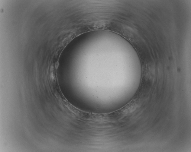 X0000068900962200605122056