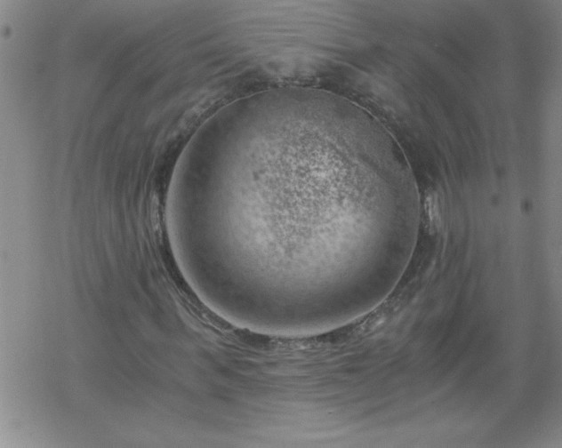 X0000068900963200605122056