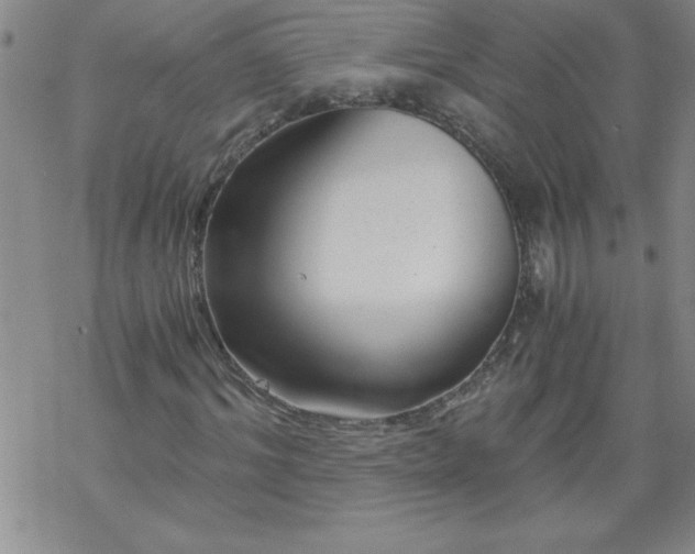 X0000068900964200605122056