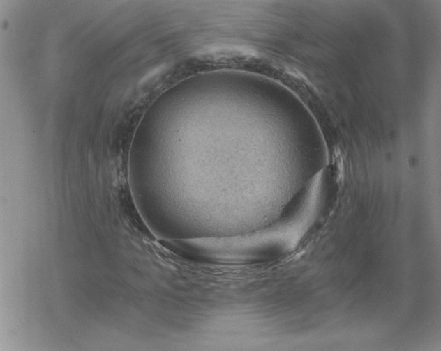 X0000068900965200605122056