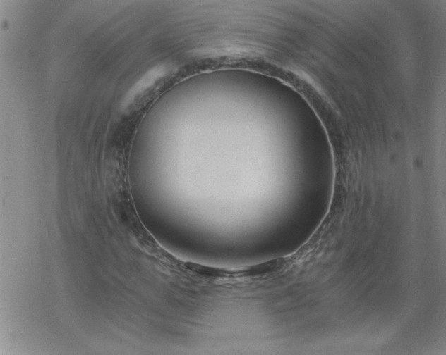 X0000068900967200605122056