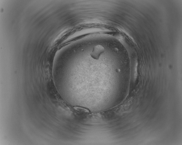 X0000068900968200605122056