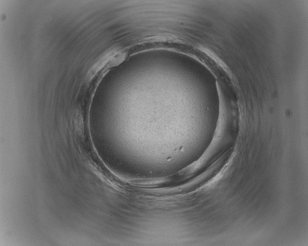 X0000068900969200605122056