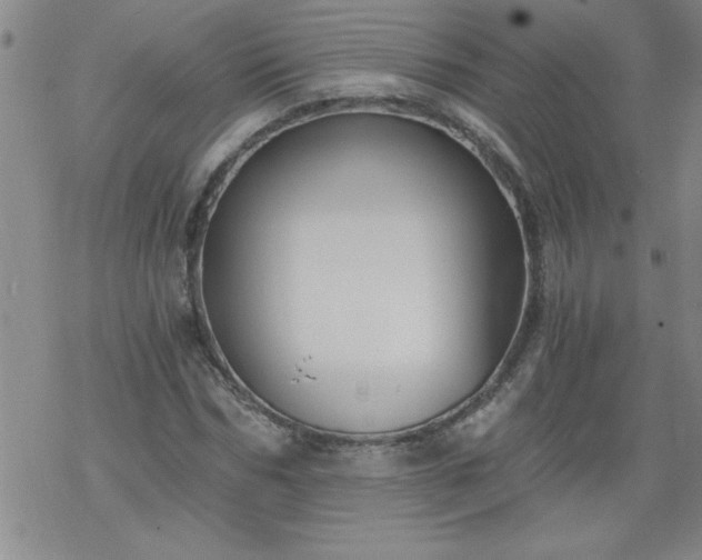 X0000068900970200605122056