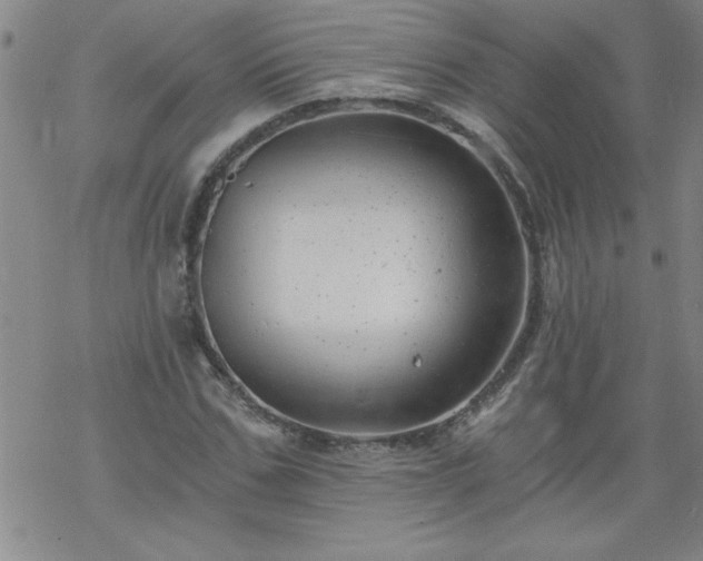 X0000068900971200605122056