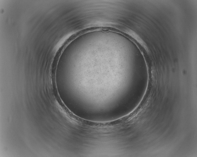 X0000068900972200605122055