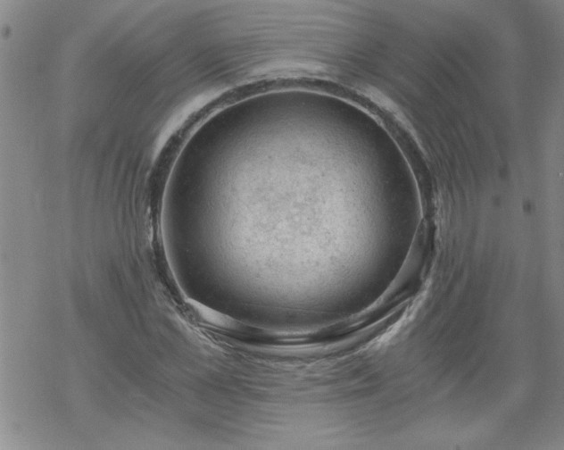 X0000068900973200605122055