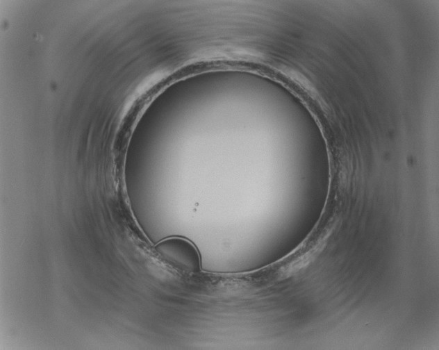 X0000068900974200605122055