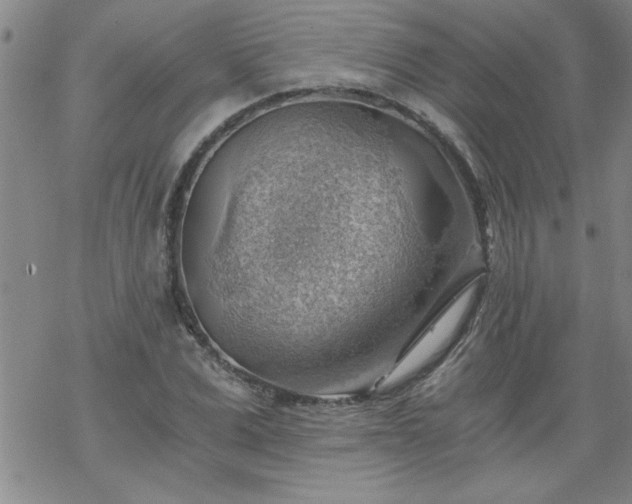 X0000068900975200605122055