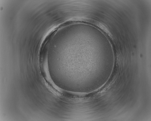 X0000068900976200605122055