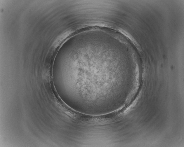 X0000068900977200605122055