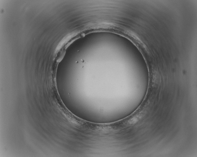 X0000068900978200605122055