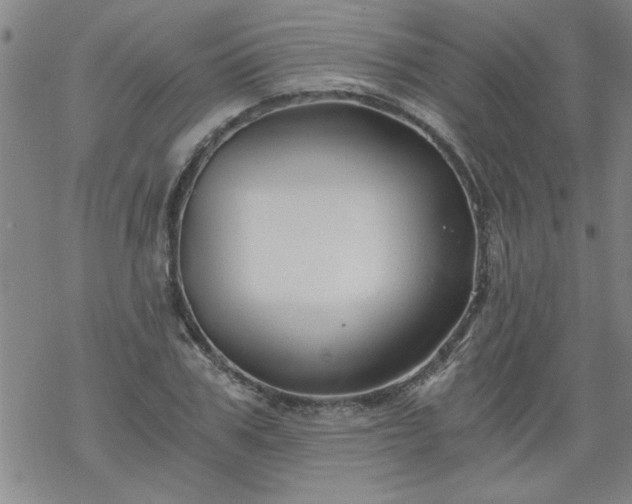 X0000068900979200605122055