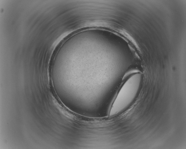 X0000068900980200605122055