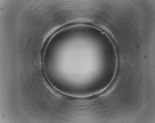 X0000068900981200605122055