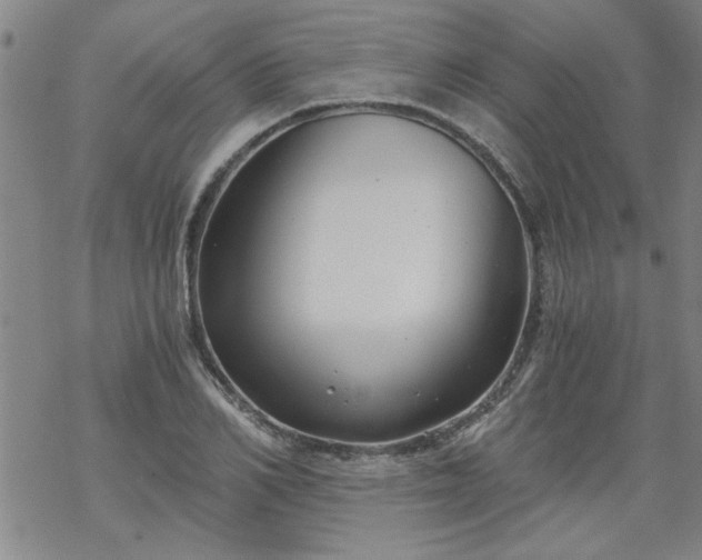 X0000068900982200605122055