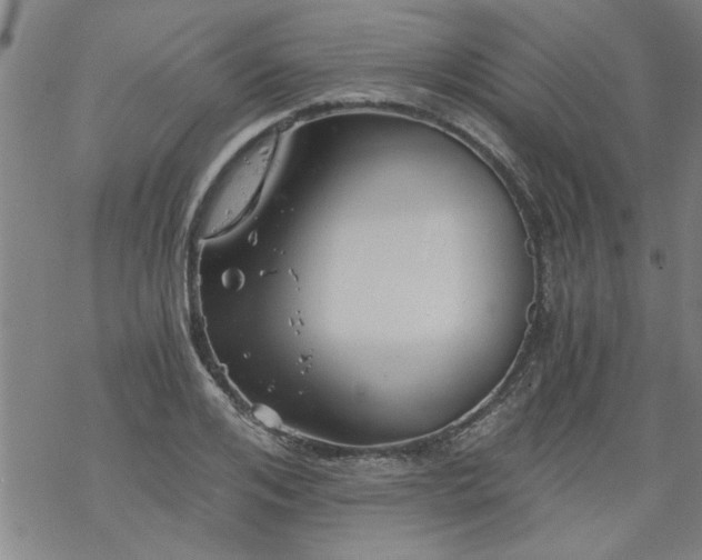 X0000068900984200605122055