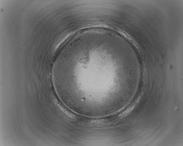 X0000068900985200605122055