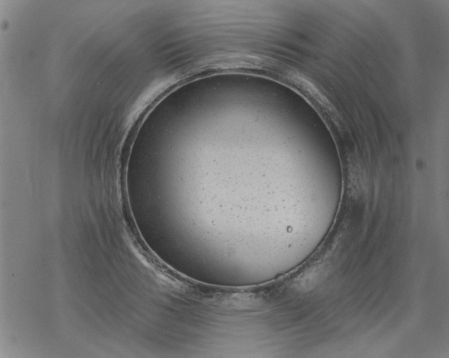 X0000068900986200605122055