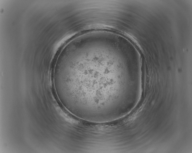 X0000068900987200605122055