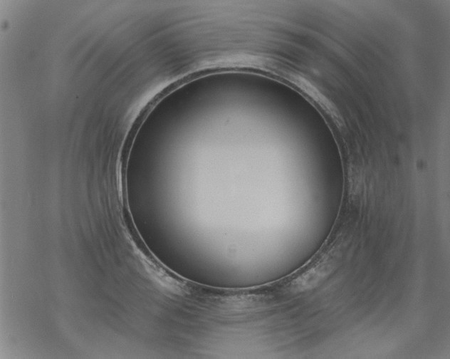 X0000068900988200605122055