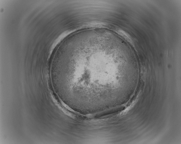 X0000068900989200605122055