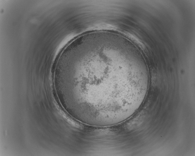 X0000068900990200605122055