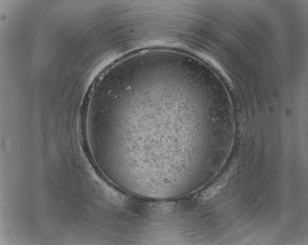 X0000068900991200605122055