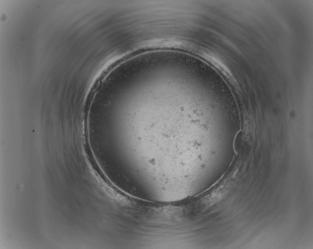 X0000068900992200605122055