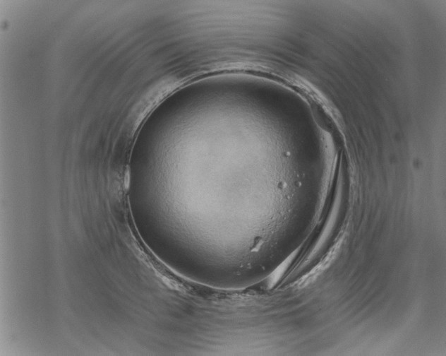 X0000068900993200605122055