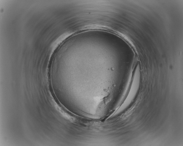 X0000068900995200605122055