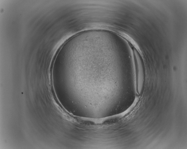 X0000068900996200605122055