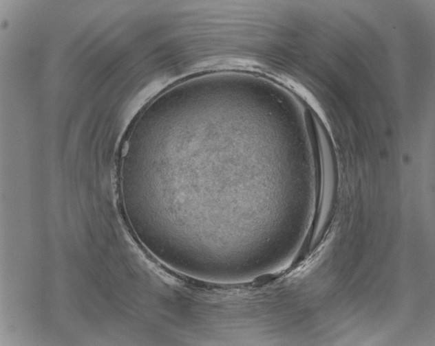 X0000068900997200605122055