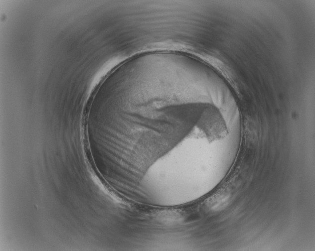 X0000068900998200605122055