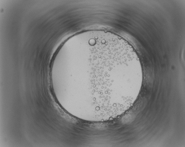 X0000068901000200605122055