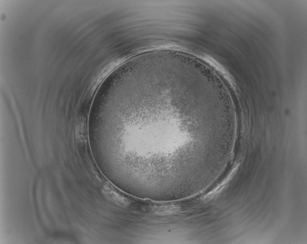 X0000068901001200605122055