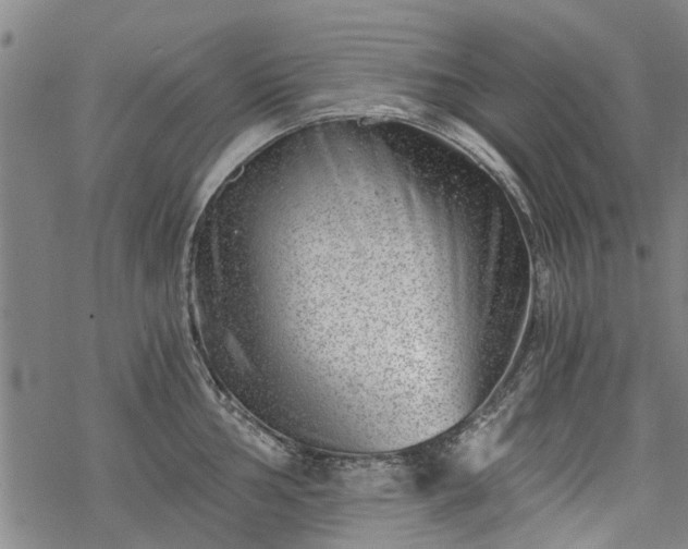 X0000068901002200605122055