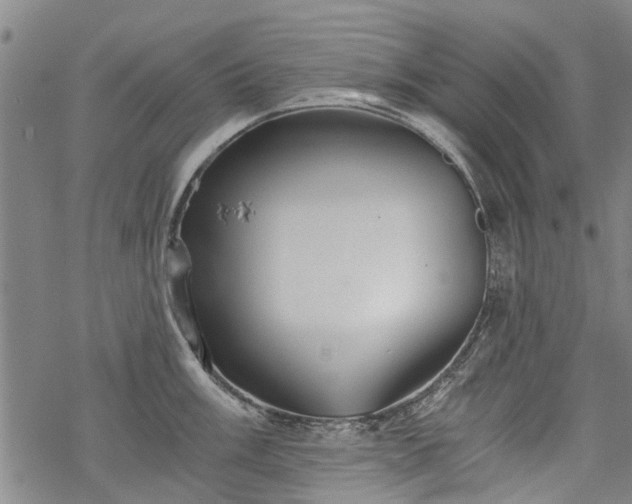 X0000068901003200605122055