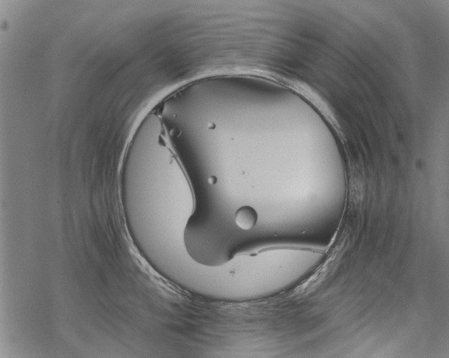 X0000068901004200605122055