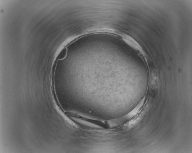 X0000068901005200605122055