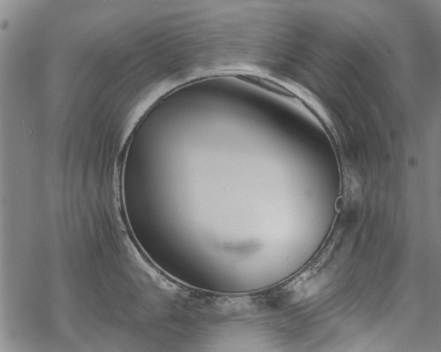 X0000068901006200605122055